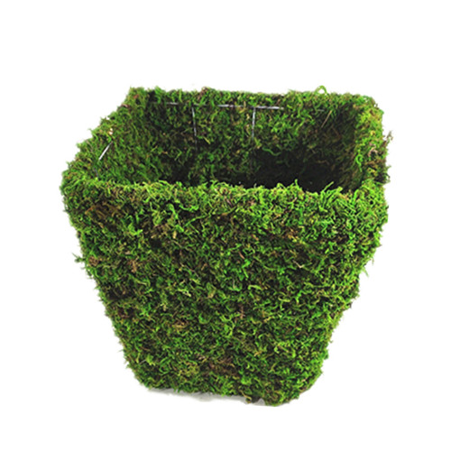 Moss Planter PM-11