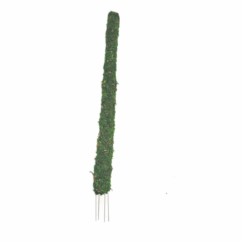 苔藓棒椰棕棒绿萝植物攀爬棒